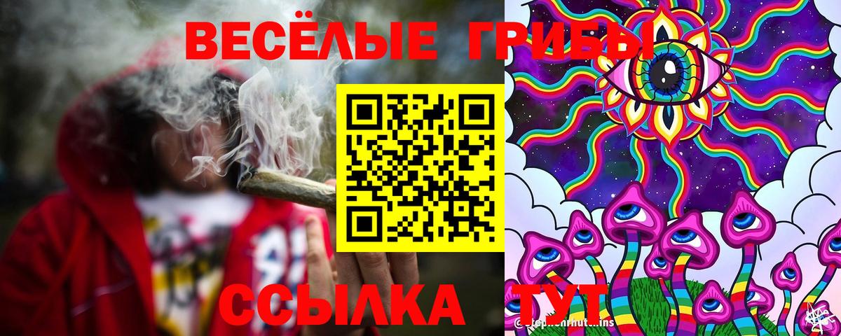 Галлюциногенные грибы MAGIC MUSHROOMS  Вход с VPN  Узловая 