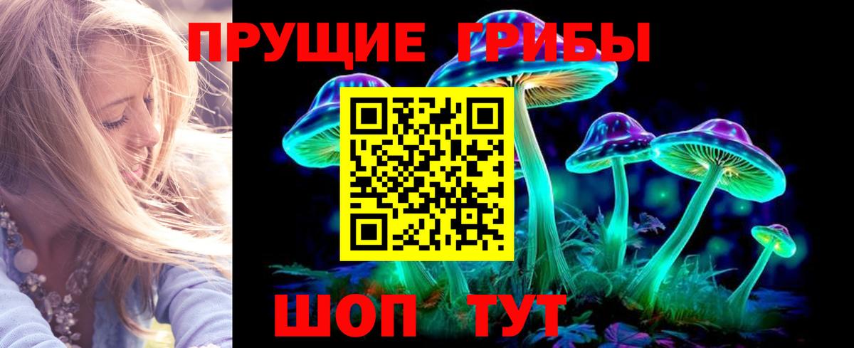 Псилоцибиновые грибы GOLDEN TEACHER Узловая